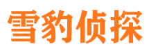 胶南侦探公司